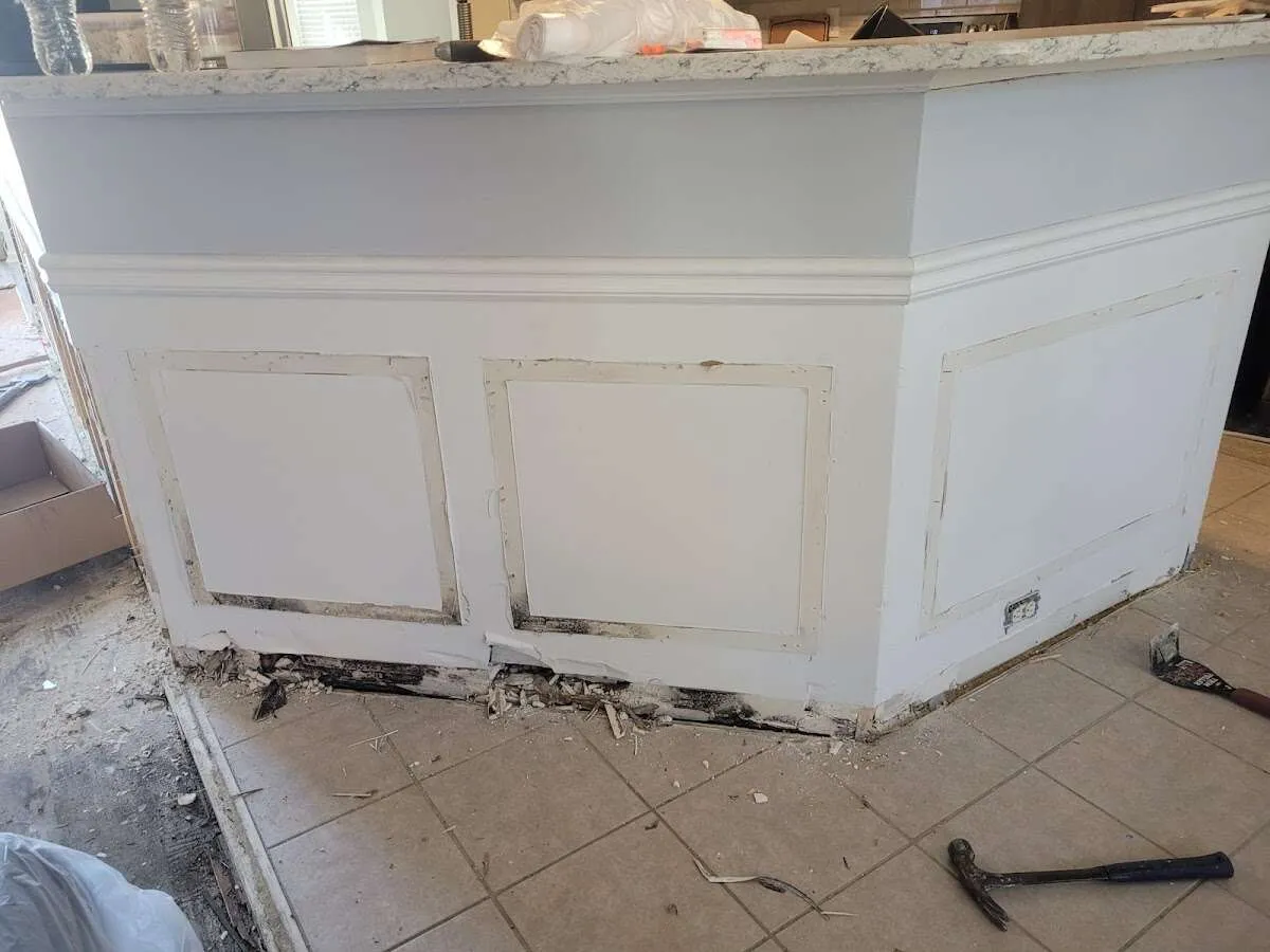 Water damage and mold on kitchen during Sewage Cleanup & Sanitation in Hampshire